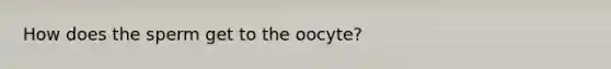 How does the sperm get to the oocyte?