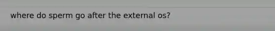 where do sperm go after the external os?