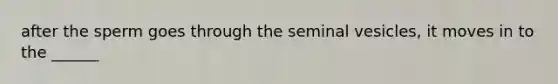 after the sperm goes through the seminal vesicles, it moves in to the ______