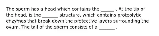 The sperm has a head which contains the ______ . At the tip of the head, is the _______ structure, which contains proteolytic enzymes that break down the protective layers surrounding the ovum. The tail of the sperm consists of a _______ .