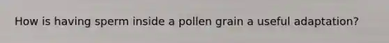 How is having sperm inside a pollen grain a useful adaptation?