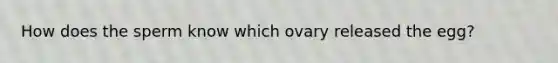 How does the sperm know which ovary released the egg?