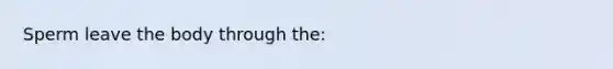 Sperm leave the body through​ the: