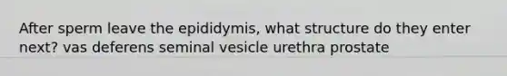 After sperm leave the epididymis, what structure do they enter next? vas deferens seminal vesicle urethra prostate