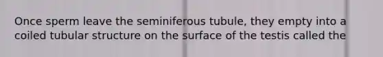 Once sperm leave the seminiferous tubule, they empty into a coiled tubular structure on the surface of the testis called the