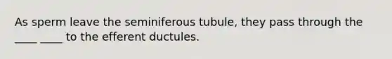 As sperm leave the seminiferous tubule, they pass through the ____ ____ to the efferent ductules.