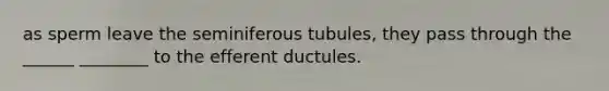 as sperm leave the seminiferous tubules, they pass through the ______ ________ to the efferent ductules.