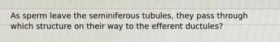 As sperm leave the seminiferous tubules, they pass through which structure on their way to the efferent ductules?