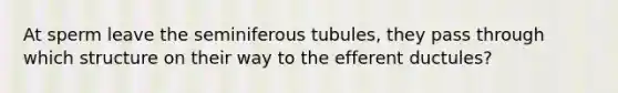 At sperm leave the seminiferous tubules, they pass through which structure on their way to the efferent ductules?