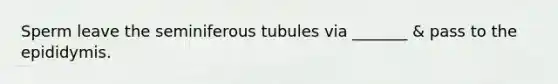 Sperm leave the seminiferous tubules via _______ & pass to the epididymis.