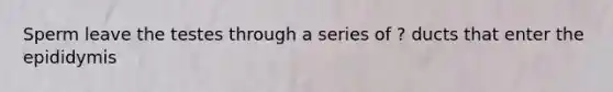Sperm leave the testes through a series of ? ducts that enter the epididymis