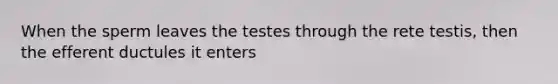 When the sperm leaves the testes through the rete testis, then the efferent ductules it enters