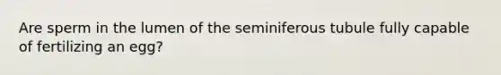 Are sperm in the lumen of the seminiferous tubule fully capable of fertilizing an egg?