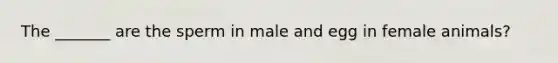 The _______ are the sperm in male and egg in female animals?