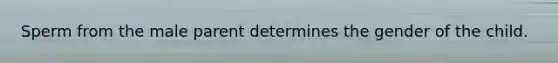 Sperm from the male parent determines the gender of the child.