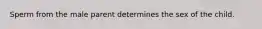 Sperm from the male parent determines the sex of the child.