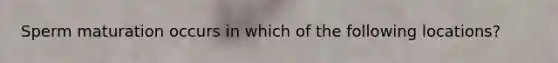 Sperm maturation occurs in which of the following locations?