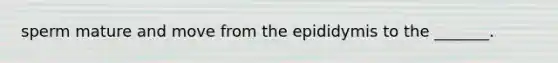 sperm mature and move from the epididymis to the _______.