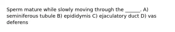 Sperm mature while slowly moving through the ______. A) seminiferous tubule B) epididymis C) ejaculatory duct D) vas deferens