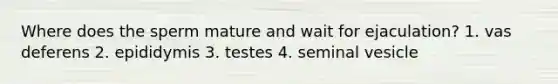 Where does the sperm mature and wait for ejaculation? 1. vas deferens 2. epididymis 3. testes 4. seminal vesicle