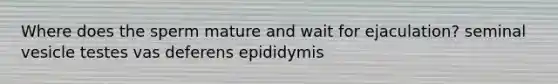 Where does the sperm mature and wait for ejaculation? seminal vesicle testes vas deferens epididymis