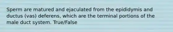 Sperm are matured and ejaculated from the epididymis and ductus (vas) deferens, which are the terminal portions of the male duct system. True/False