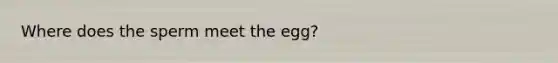 Where does the sperm meet the egg?