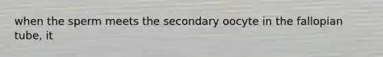 when the sperm meets the secondary oocyte in the fallopian tube, it