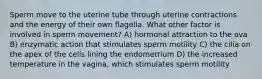 Sperm move to the uterine tube through uterine contractions and the energy of their own flagella. What other factor is involved in sperm movement? A) hormonal attraction to the ova B) enzymatic action that stimulates sperm motility C) the cilia on the apex of the cells lining the endometrium D) the increased temperature in the vagina, which stimulates sperm motility