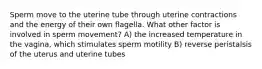 Sperm move to the uterine tube through uterine contractions and the energy of their own flagella. What other factor is involved in sperm movement? A) the increased temperature in the vagina, which stimulates sperm motility B) reverse peristalsis of the uterus and uterine tubes