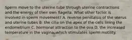 Sperm move to the uterine tube through uterine contractions and the energy of their own flagella. What other factor is involved in sperm movement? A. reverse peristalsis of the uterus and uterine tubes B. the cilia on the apex of the cells lining the endometrium C. hormonal attraction to the ova D. the increased temperature in the vagina, which stimulates sperm motility.