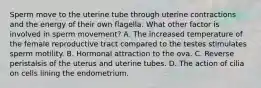 Sperm move to the uterine tube through uterine contractions and the energy of their own flagella. What other factor is involved in sperm movement? A. The increased temperature of the female reproductive tract compared to the testes stimulates sperm motility. B. Hormonal attraction to the ova. C. Reverse peristalsis of the uterus and uterine tubes. D. The action of cilia on cells lining the endometrium.