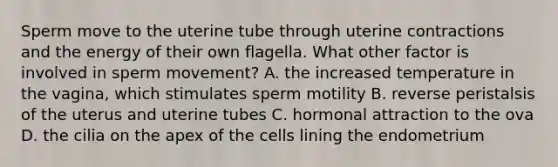 Sperm move to the uterine tube through uterine contractions and the energy of their own flagella. What other factor is involved in sperm movement? A. the increased temperature in the vagina, which stimulates sperm motility B. reverse peristalsis of the uterus and uterine tubes C. hormonal attraction to the ova D. the cilia on the apex of the cells lining the endometrium