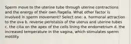 Sperm move to the uterine tube through uterine contractions and the energy of their own flagella. What other factor is involved in sperm movement? Select one: a. hormonal attraction to the ova b. reverse peristalsis of the uterus and uterine tubes c. the cilia on the apex of the cells lining the endometrium d. the increased temperature in the vagina, which stimulates sperm motility