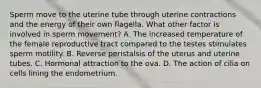 Sperm move to the uterine tube through uterine contractions and the energy of their own flagella. What other factor is involved in sperm movement? A. The increased temperature of the female reproductive tract compared to the testes stimulates sperm motility. B. Reverse peristalsis of the uterus and uterine tubes. C. Hormonal attraction to the ova. D. The action of cilia on cells lining the endometrium.