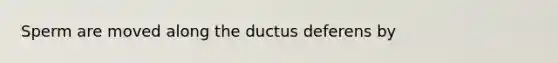 Sperm are moved along the ductus deferens by