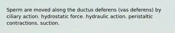 Sperm are moved along the ductus deferens (vas deferens) by ciliary action. hydrostatic force. hydraulic action. peristaltic contractions. suction.