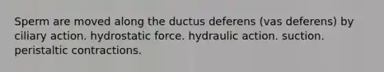 Sperm are moved along the ductus deferens (vas deferens) by ciliary action. hydrostatic force. hydraulic action. suction. peristaltic contractions.