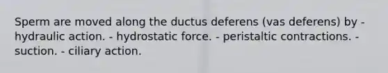 Sperm are moved along the ductus deferens (vas deferens) by - hydraulic action. - hydrostatic force. - peristaltic contractions. - suction. - ciliary action.