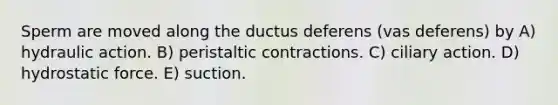 Sperm are moved along the ductus deferens (vas deferens) by A) hydraulic action. B) peristaltic contractions. C) ciliary action. D) hydrostatic force. E) suction.