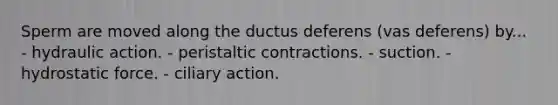 Sperm are moved along the ductus deferens (vas deferens) by... - hydraulic action. - peristaltic contractions. - suction. - hydrostatic force. - ciliary action.