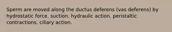 Sperm are moved along the ductus deferens (vas deferens) by hydrostatic force. suction. hydraulic action. peristaltic contractions. ciliary action.