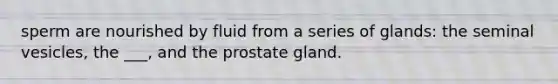 sperm are nourished by fluid from a series of glands: the seminal vesicles, the ___, and the prostate gland.