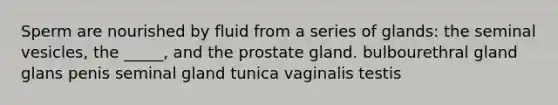 Sperm are nourished by fluid from a series of glands: the seminal vesicles, the _____, and the prostate gland. bulbourethral gland glans penis seminal gland tunica vaginalis testis