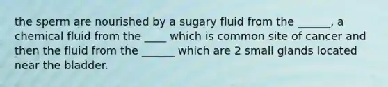 the sperm are nourished by a sugary fluid from the ______, a chemical fluid from the ____ which is common site of cancer and then the fluid from the ______ which are 2 small glands located near the bladder.