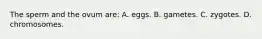 The sperm and the ovum are: A. eggs. B. gametes. C. zygotes. D. chromosomes.