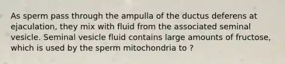 As sperm pass through the ampulla of the ductus deferens at ejaculation, they mix with fluid from the associated seminal vesicle. Seminal vesicle fluid contains large amounts of fructose, which is used by the sperm mitochondria to ?