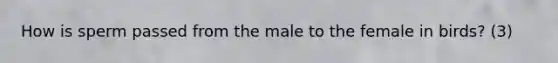 How is sperm passed from the male to the female in birds? (3)