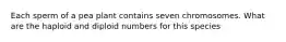 Each sperm of a pea plant contains seven chromosomes. What are the haploid and diploid numbers for this species