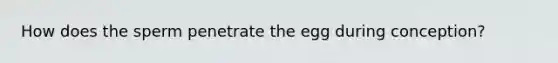 How does the sperm penetrate the egg during conception?